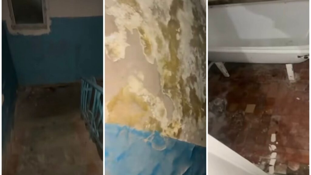 «Мұндай жерде адам тұра алмайды»: Алатауда жас дәрігер қызметтік пәтерге шағымданды